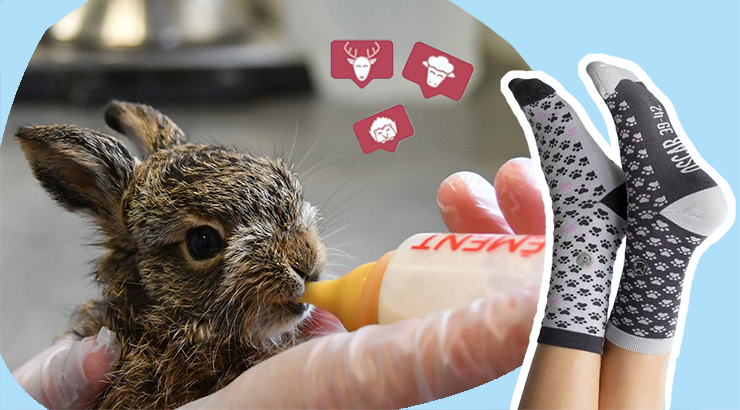 Des chaussettes pour soutenir le Centre de soins